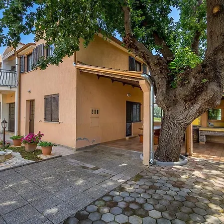 Apartment Sara Medulin